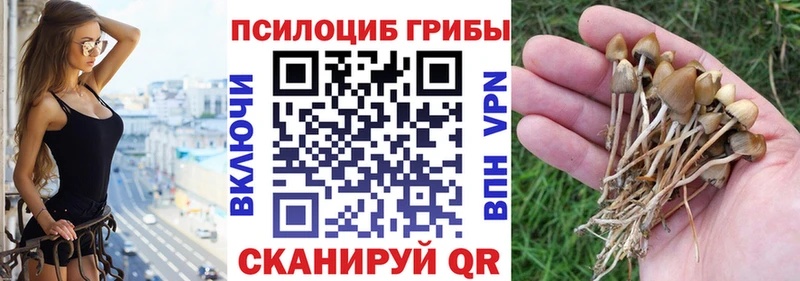 ОМГ ОМГ сайт  Ак-Довурак  Галлюциногенные грибы Cubensis 